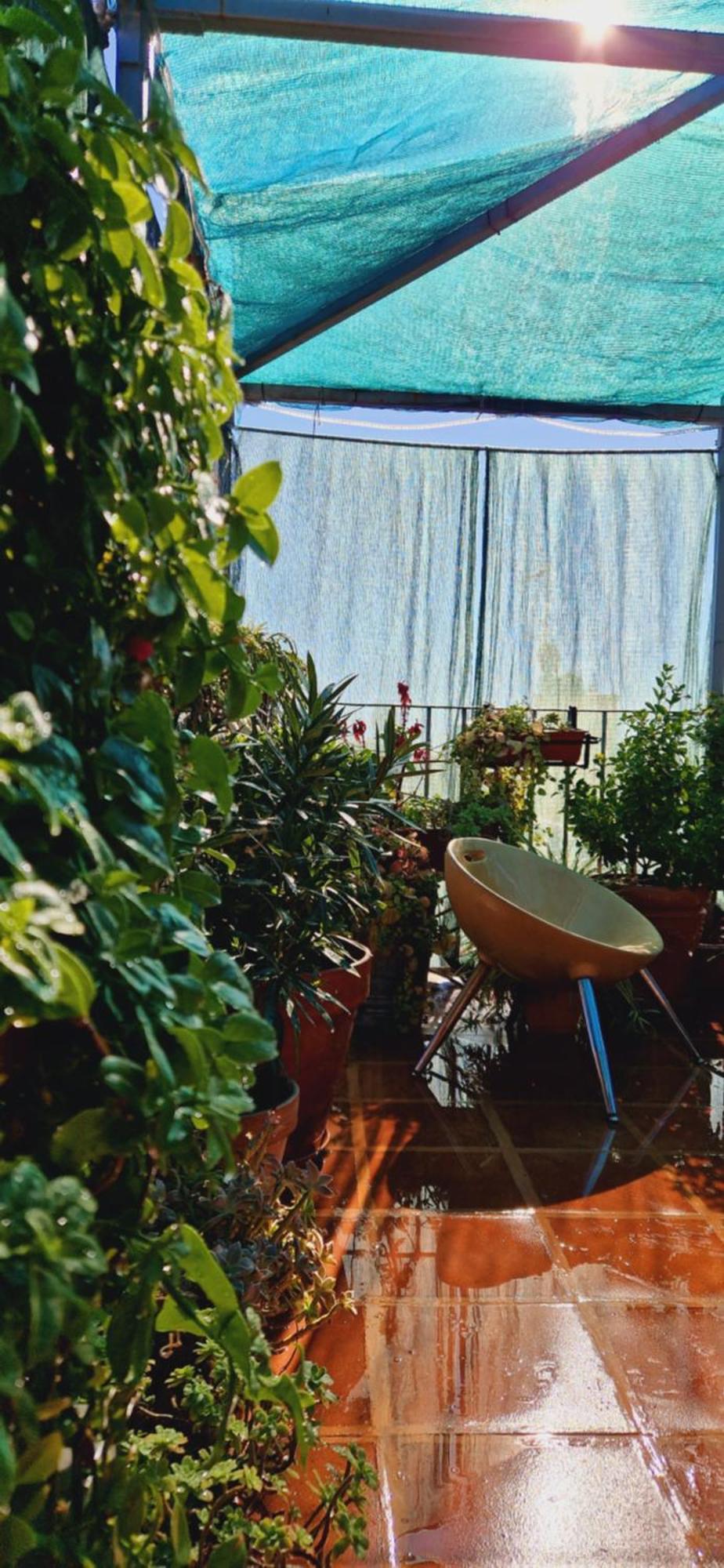 Guest house Casa De Huespedes Dolce 2*