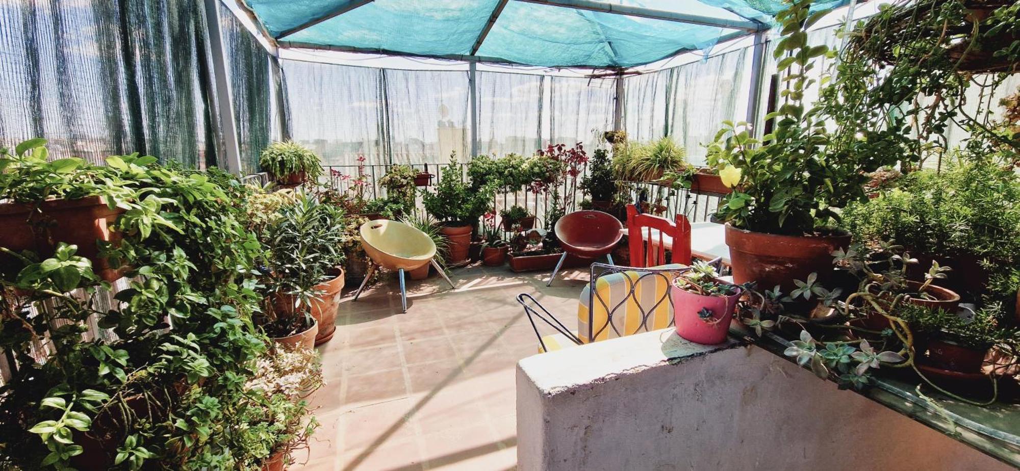 Guest house Casa De Huespedes Dolce